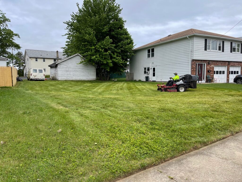 Professional landscaping & maintenance services NJ for residential and commercial estates.