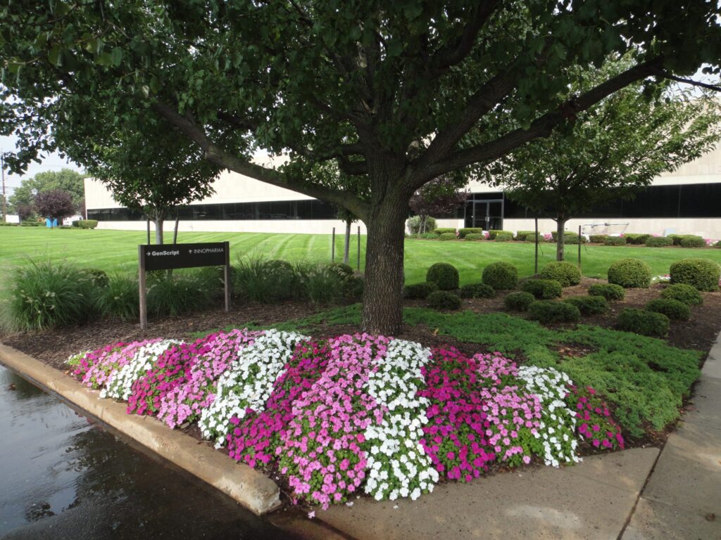 Custom landscape design for homes NJ featuring luxury estate gardens and professional masonry.