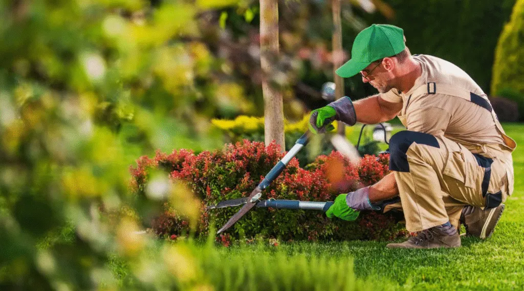 izobrazhenie 2025 08 01 191112181 1024x569 1