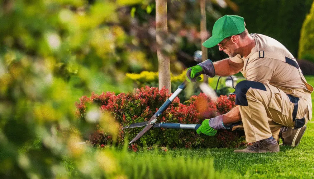 izobrazhenie 2025 08 01 191112181 1024x569 1 1 2