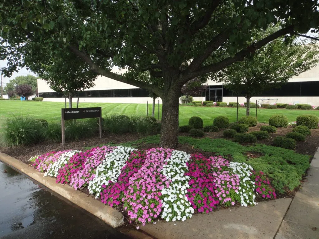 Full Grounds Care Maintenance 1024x768 1